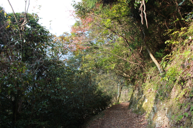 鈍川渓谷の釣り堀 門岡養魚場_f0098083_23274185.jpg