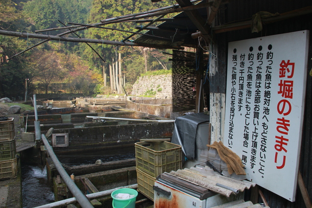 鈍川渓谷の釣り堀 門岡養魚場_f0098083_23284860.jpg