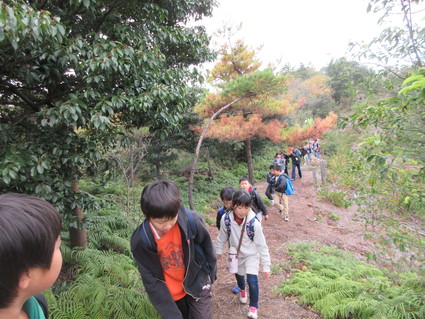 多奈川小学校3年生社会見学:孝子の森 by (ナベサダ)_f0053885_19573828.jpg