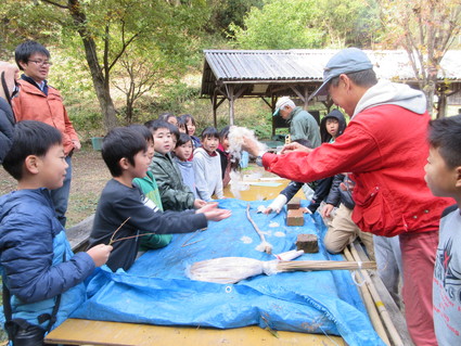 多奈川小学校3年生社会見学:孝子の森 by (ナベサダ)_f0053885_2011857.jpg