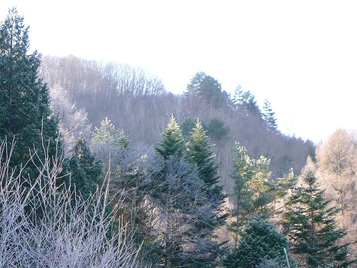 a0130586_9442272.jpg