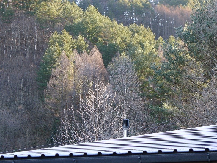 a0130586_9502316.jpg