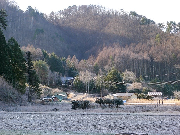 a0130586_9584530.jpg