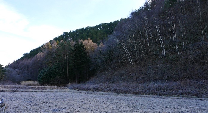 a0130586_9593974.jpg
