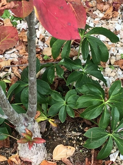 b0336787_15481910.jpeg