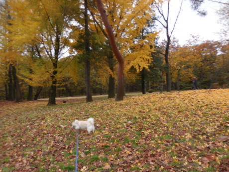 c0253487_03514707.jpg