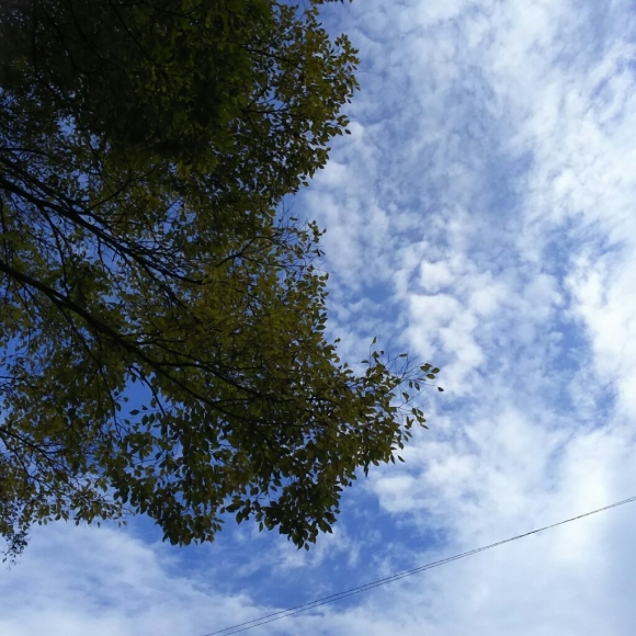 c0191390_23100996.jpg