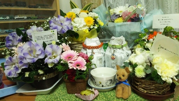 c0191390_23101264.jpg