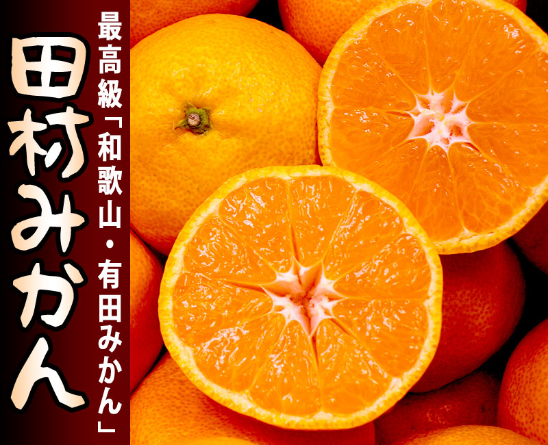 ーー今日も、うまいもの!ずくし!です。ーーハハハーー。_d0060693_18861.jpg