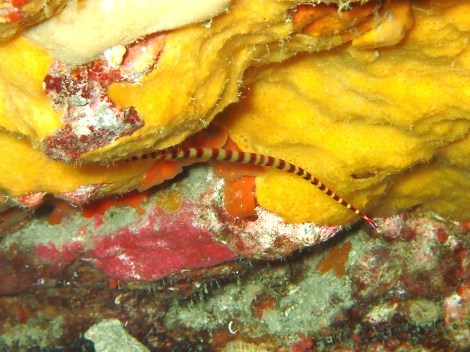 e0115199_13212868.jpg