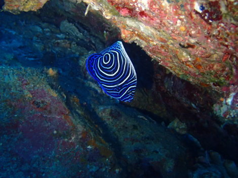 e0115199_13243276.jpg