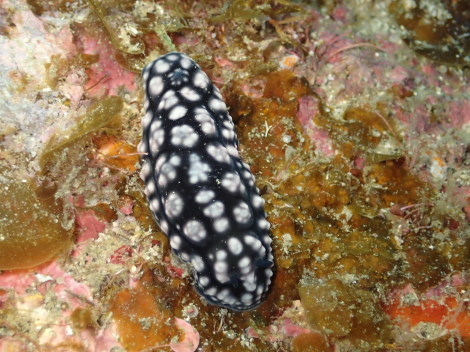e0115199_13274447.jpg