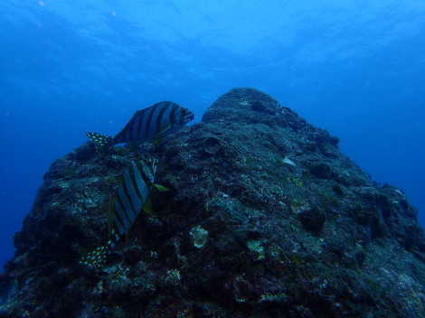 e0115199_13363963.jpg