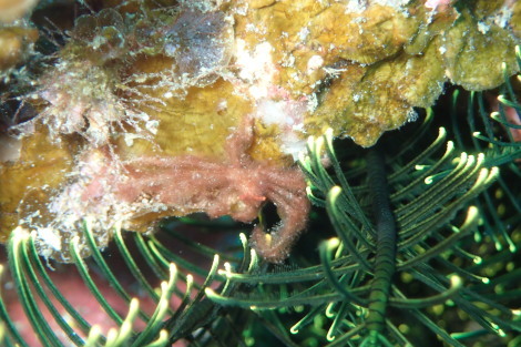 e0115199_14201835.jpg