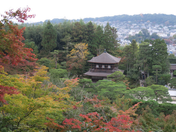 秋の京都_c0334300_16101019.jpg