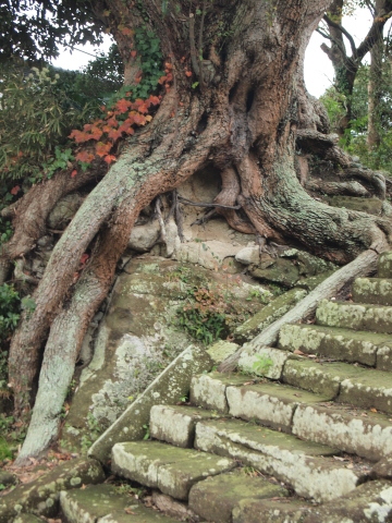 ふくちゃんの写真講習会 in 北鎌倉　その１_b0331802_08504826.jpg