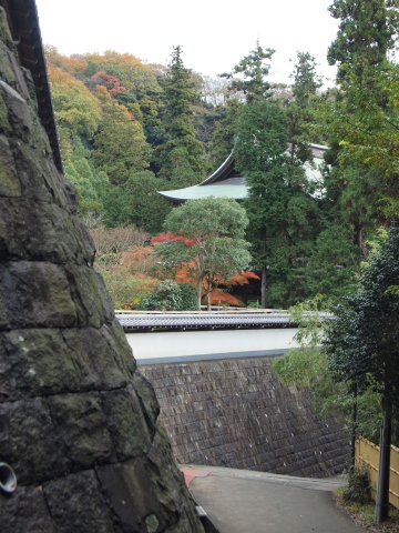 ふくちゃんの写真講習会 in 北鎌倉　その１_b0331802_08523004.jpg
