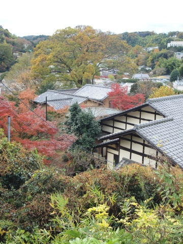 ふくちゃんの写真講習会 in 北鎌倉　その１_b0331802_09155079.jpg