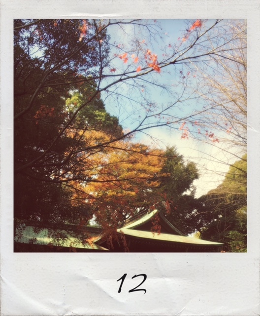 12月です!_a0088007_19545678.jpeg