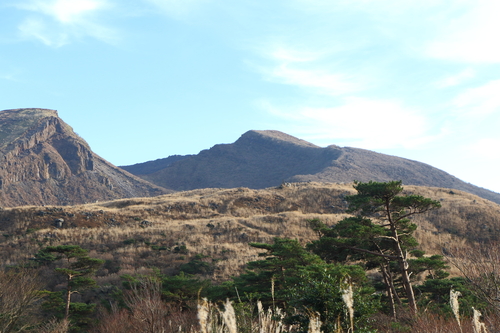 d0230507_1225425.jpg