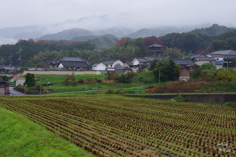 葛城市　雨降る當麻_d0342307_22512401.jpg