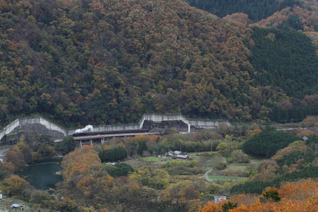紅葉の里と山 - 2016年晩秋・秩父 - _b0190710_23382996.jpg