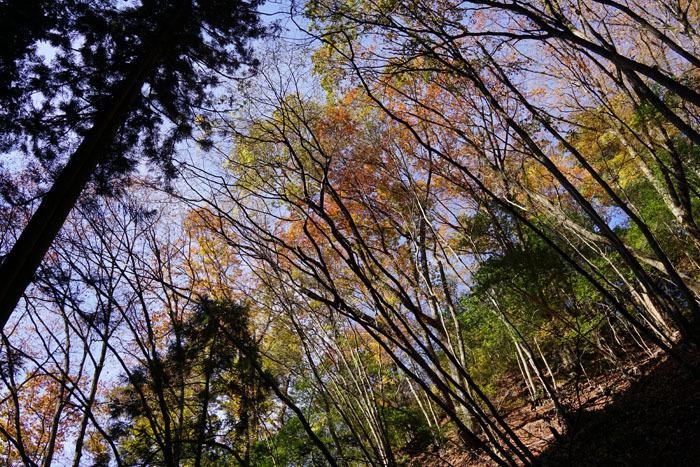 e0077010_21500357.jpg