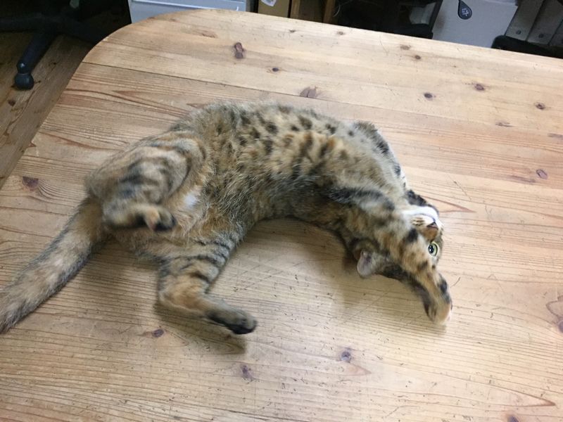 痒い背中。_b0131012_9151828.jpg