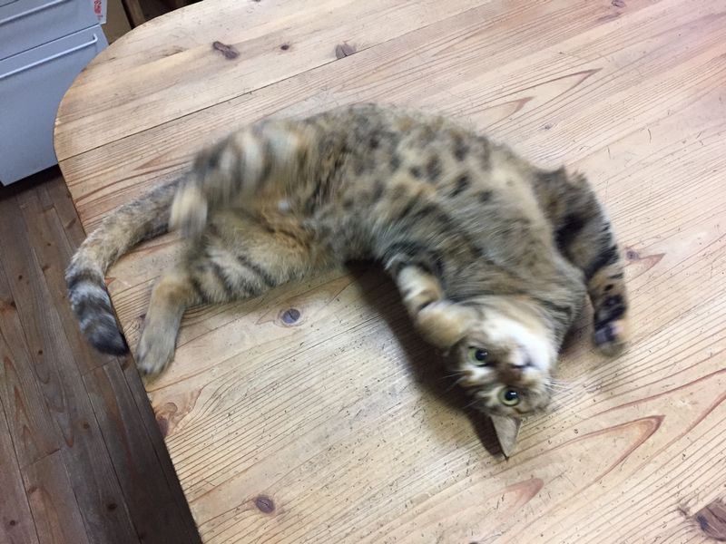 痒い背中。_b0131012_9152922.jpg