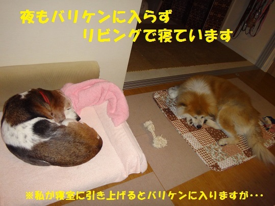 f0121712_14130013.jpg