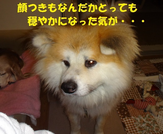 f0121712_14200997.jpg