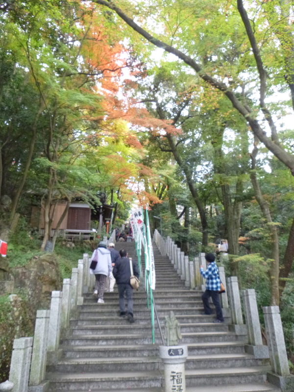 寂光院・継鹿尾山・石原口周回する_d0170615_07354480.jpg