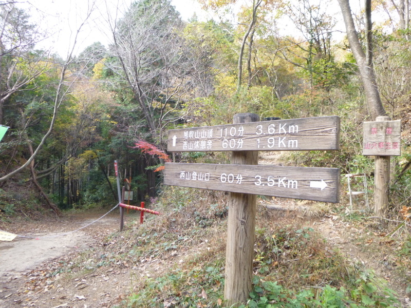 寂光院・継鹿尾山・石原口周回する_d0170615_07372384.jpg