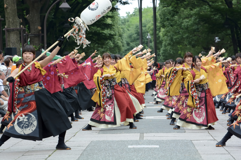 10th　よさこい光が丘　「早稲田大学　東京花火」　（敬称略）　東京都_c0276323_09513609.jpg