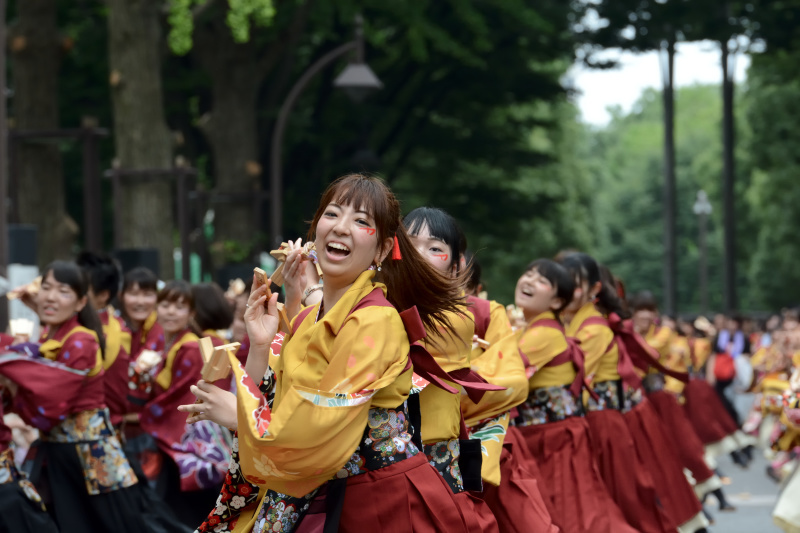 10th　よさこい光が丘　「早稲田大学　東京花火」　（敬称略）　東京都_c0276323_09572490.jpg