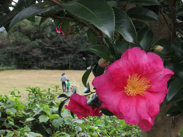 e0321325_1150873.jpg