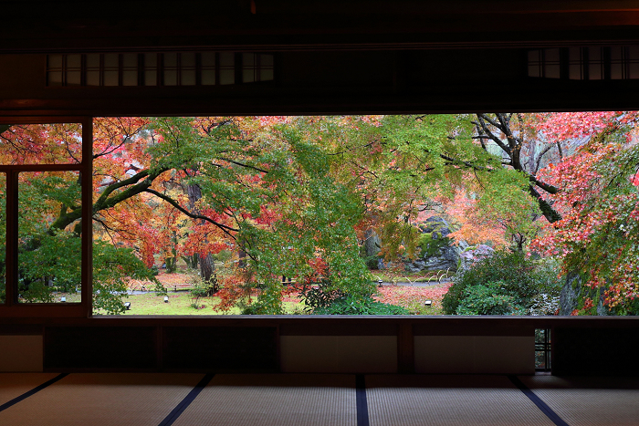 紅葉の京都2016 －秋の宝厳院（天龍寺塔頭） 早朝特別参拝（後編）－_b0169330_7215398.jpg