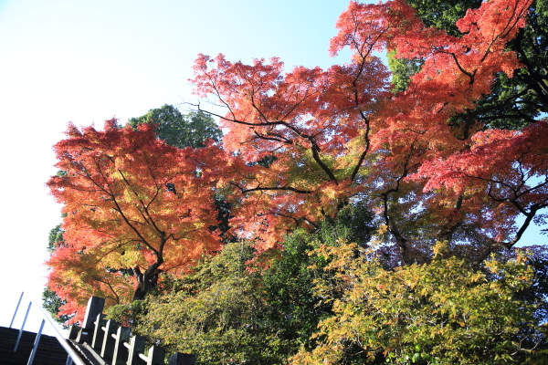 f0229832_09091965.jpg