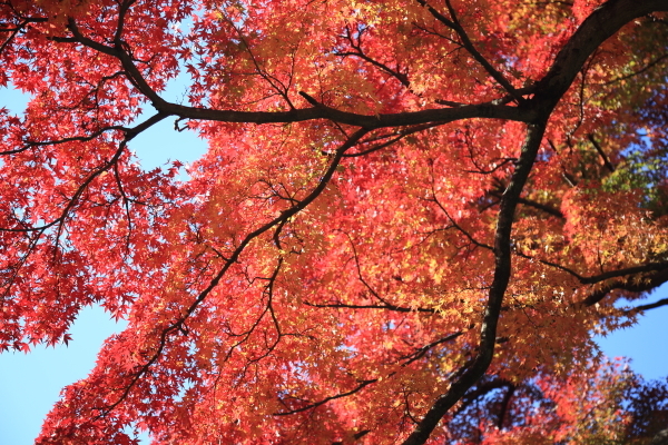 f0229832_09124149.jpg