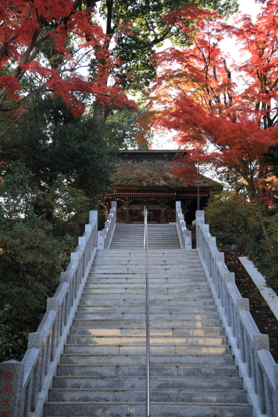 f0229832_09163757.jpg