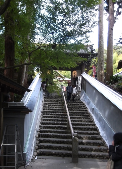 c0051938_11143484.jpg