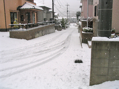 d0156040_16555643.jpg