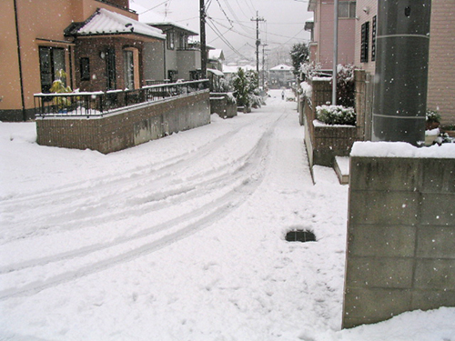 準備万端！★いつ雪が降ってもだいじょうぶ！！★_d0156040_16555643.jpg