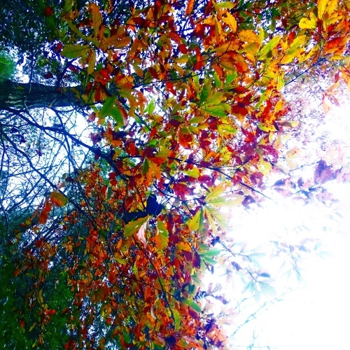 e0145441_23211886.jpg