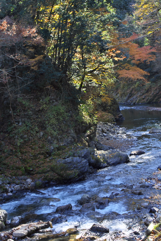 紅葉　奥多摩氷川渓谷_d0029744_1502196.jpg