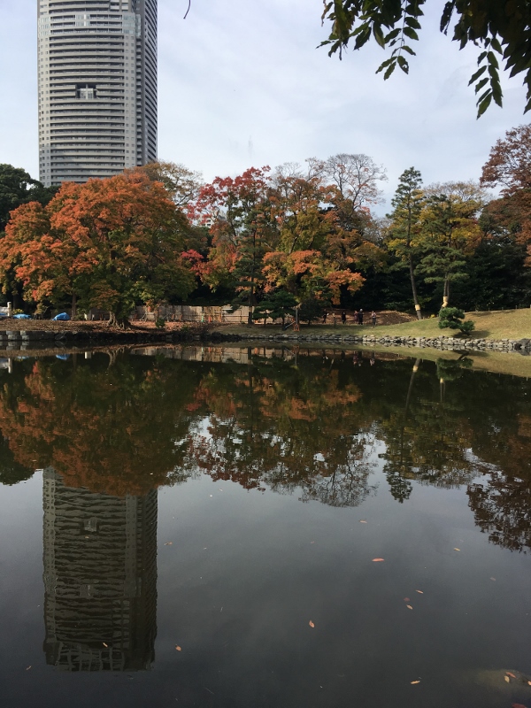 東京の紅葉めぐり_d0182744_22461270.jpg