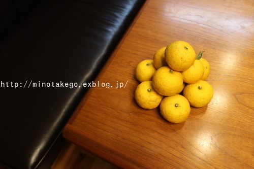 旬を健康に使い切る_e0343145_20093083.jpg