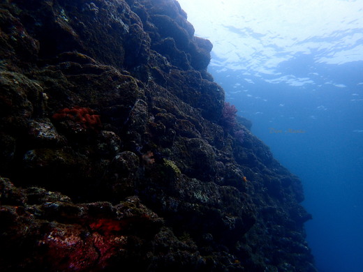 b0236647_19263634.jpg