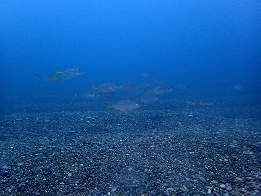b0236647_19323768.jpg