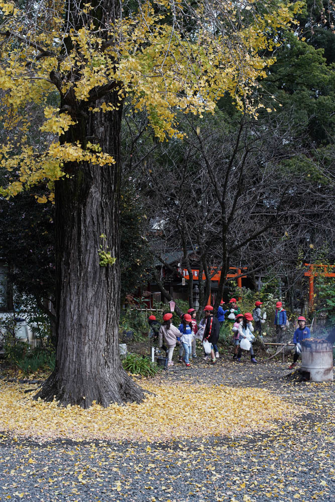 a0324049_21380166.jpg